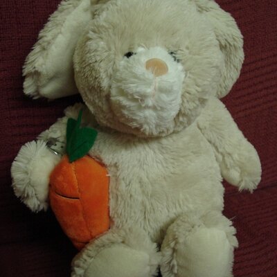 Good Bunny on X