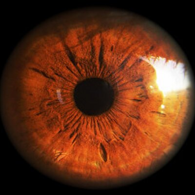 THE EYE 👀 on X